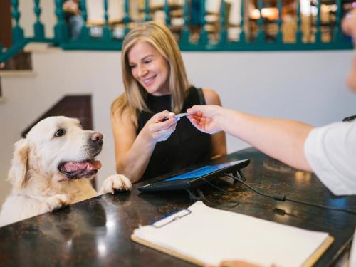 a woman feeding a dog at a table at Hotel San Miguel in Gijón