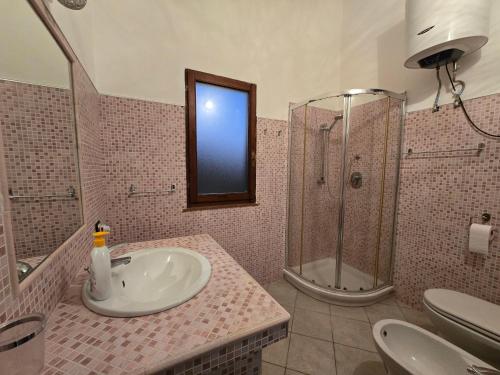 un baño con lavabo y ducha en Sardinia House Country, en SantʼAnna Arresi