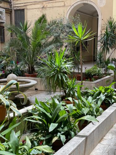 Home Sweet Rome Vatican