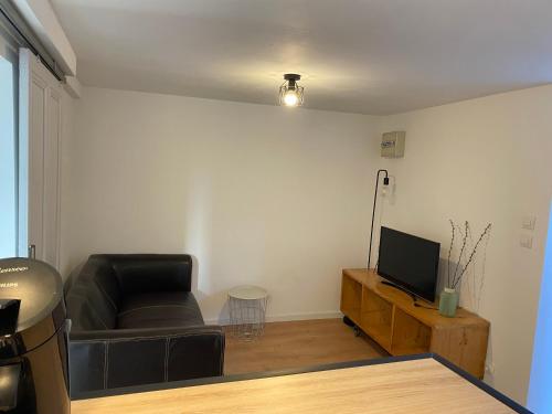 Μια τηλεόραση ή/και κέντρο ψυχαγωγίας στο Appartement 2 pièces Poncin