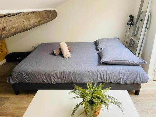 - un lit avec des oreillers et une plante dans la chambre dans l'établissement Joli nid douillet au Vieux-Port, à Marseille