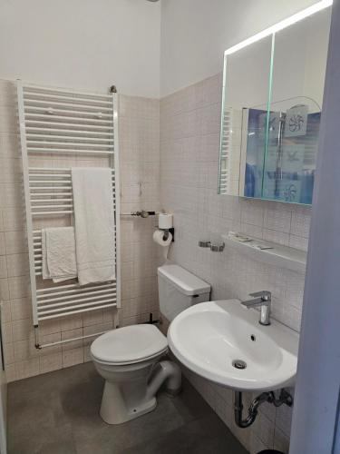 a white bathroom with a toilet and a sink at Hotel & Restaurant Krone in Rehau
