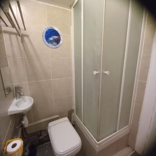 une salle de bain avec une douche, des toilettes et un lavabo dans l'établissement REF 01 studio BAGNEUX 5 minutes à pied métro BARBARA ligne 4, à Bagneux