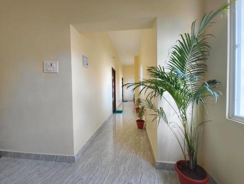 Φωτογραφία από το άλμπουμ του Mayura Inn σε Rameswaram