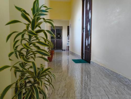 Φωτογραφία από το άλμπουμ του Mayura Inn σε Rameswaram