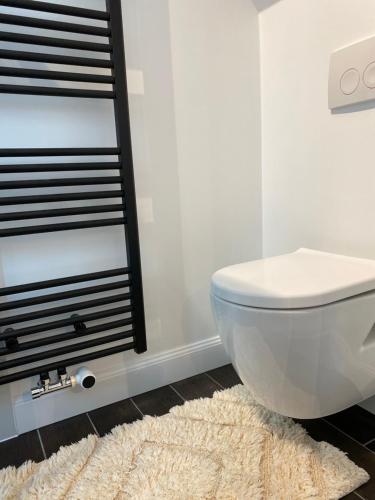 a bathroom with a white toilet and a rug at The Conservatory a cosy private attic - Central between Ghent Antwerp Brussels & Brugge in Lokeren