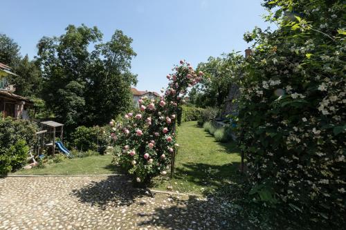 Zahrada ubytování Maison La Tur