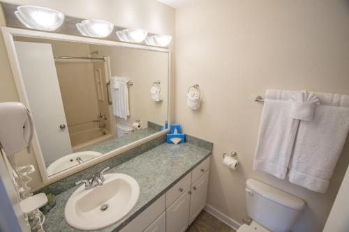 a bathroom with a sink and a mirror and a toilet at Waterwood Townhouses in New Bern