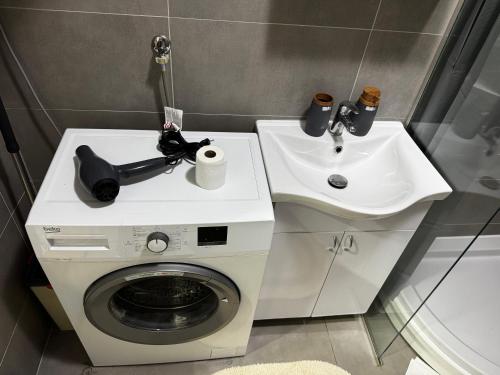 un bagno con lavatrice e lavandino di Apartment Amistad Novi Sad a Novi Sad