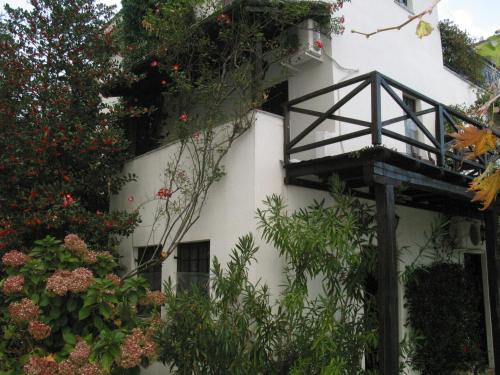 Κήπος έξω από το Villa Georgie