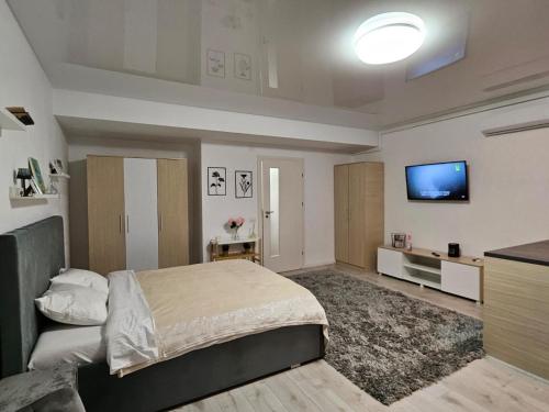 a bedroom with a bed and a flat screen tv at DoubleC in Galaţi