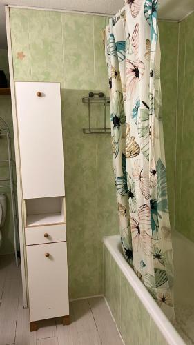 La salle de bains est pourvue d'une douche avec rideau de douche. dans l'établissement Strasbourg - Studio agréable - Proche La Petite France, à Strasbourg