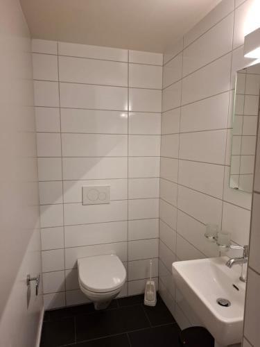 シャテル・サン・ドニにあるStudio avec sauna privéのトイレと洗面台を備えた白いバスルーム