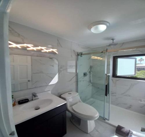 a bathroom with a toilet and a shower and a sink at Las Brisas Azules in Providenciales