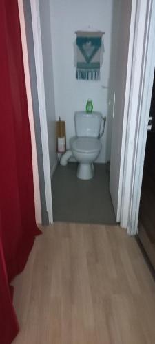 une petite salle de bains avec toilettes dans le couloir dans l'établissement Maison calme, à Payrin-Augmontel