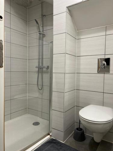 une salle de bain avec douche et toilettes dans l'établissement Appartement vu sur la cathédrale, à Strasbourg