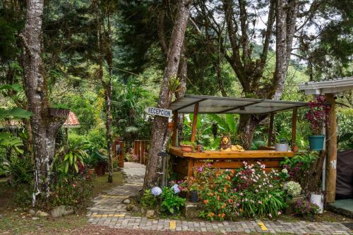 Un jardín fuera de Blue Morpho Lodge