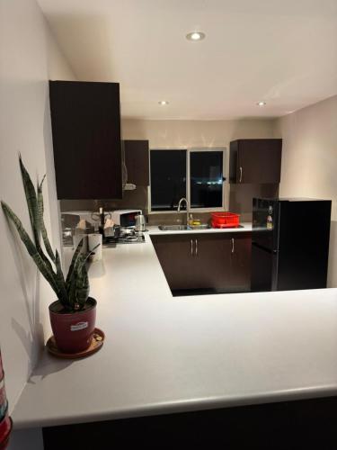 Bula Bliss 2-Bedroom Apartment with Mountain View - Nadiにあるキッチンまたは簡易キッチン