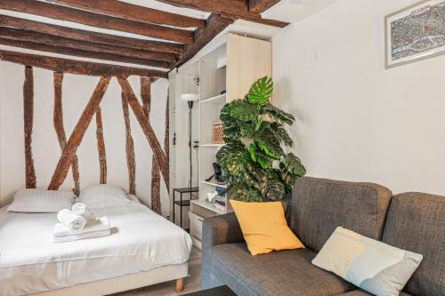 un salon avec un canapé et une plante dans l'établissement Cosy et charmant studio coeur du Marais, à Paris