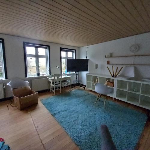 a living room with a blue rug and a tv at Villa Sommersted Andersen in Sommersted