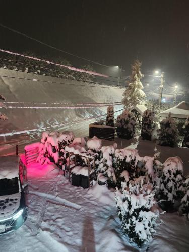 a group of people standing in the snow at night at Pensiunea Ioana in Sadova