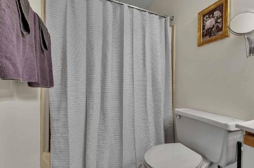 a bathroom with a shower curtain and a toilet at Updated Ski In Ski Out Condo Holiday Valley in Ellicottville