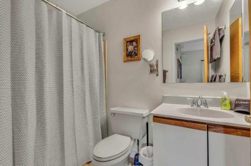 a bathroom with a toilet and a sink and a shower at Updated Ski In Ski Out Condo Holiday Valley in Ellicottville