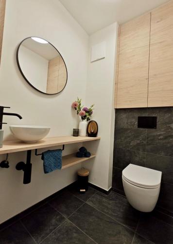 a bathroom with a sink and a toilet and a mirror at dasHuber-Hochrindl in Hochrindl