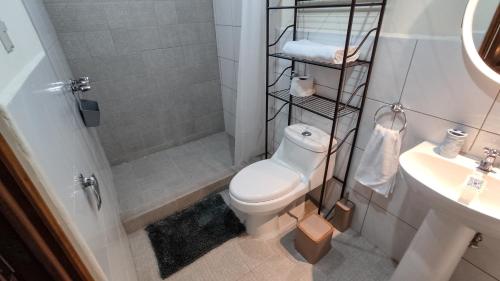 a bathroom with a toilet and a shower and a sink at Casa Miguelito in Antigua Guatemala