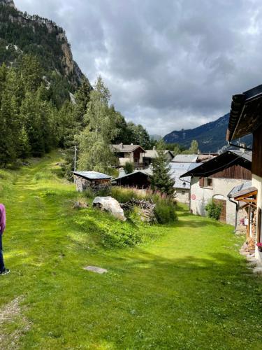 une personne debout dans un champ d'herbe verte dans l'établissement Bel appartement proche pistes et randonnées, à Pralognan-la-Vanoise