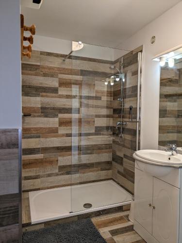 une salle de bain avec une douche avec des toilettes et un lavabo dans l'établissement Gîte en montagne : La Terrasse du Rabioux, à Châteauroux-les-Alpes