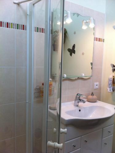 une salle de bain avec un lavabo et une douche dans l'établissement Couette Et Cafe Crème, à Le Coudray