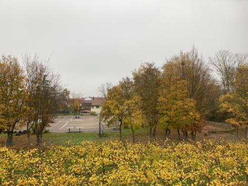 Φωτογραφία από το άλμπουμ του Weitblick σε Niederkirchen bei Deidesheim