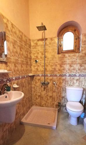 a bathroom with a toilet and a sink at Siwa Salt Lake Lodge in Siwa