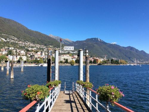 Sogno Verde by Fewotessin