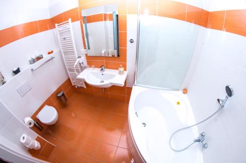 a bathroom with a shower and a toilet and a sink at Apartman Relax Olomouc in Olomouc