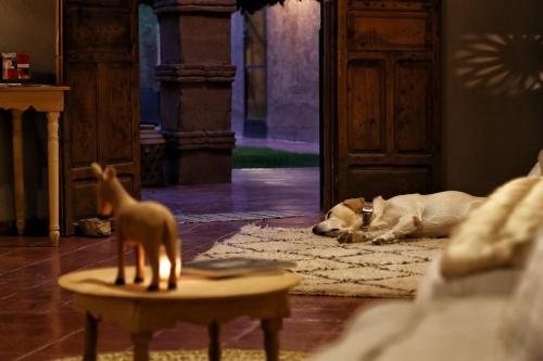 a dog laying on the floor next to a table with a toy at La Ferme Berbere Adult only in El Harkat