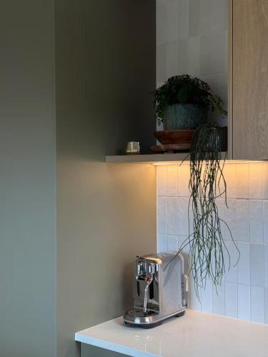 Una cocina o zona de cocina en The Little Louise's Luxury Romantic Retreat with Iconic Piha Views