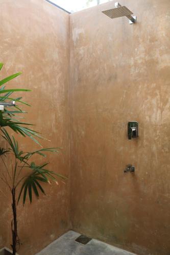 a bathroom with a shower with a plant in it at Swell Shacks in Matara