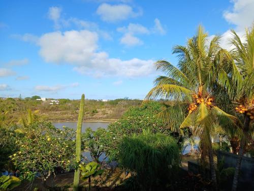 a view of a body of water with palm trees at Chambre d'hôte La Mare Ronde in Grand Baie