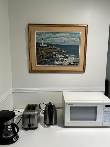 a kitchen counter with a microwave and a toaster at Super Cosy Peaceful room with Garden view free Parking in Toronto