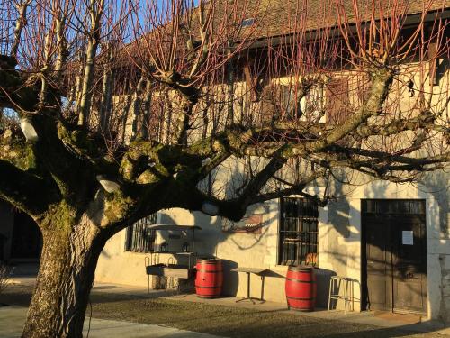 a tree in front of a building with trash cans at Le Relais Des Vieilles Postes in Les Avenières