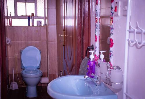 a bathroom with a blue toilet and a sink at Golden Cozy Homes Limuru in Limuru