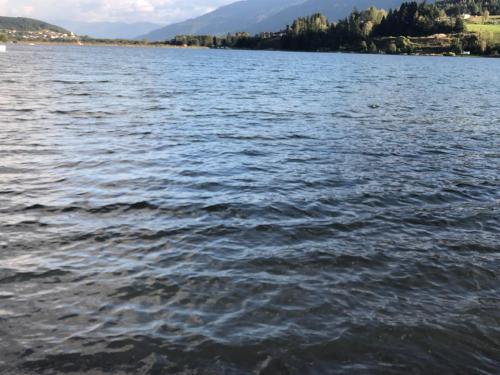 a large body of water with mountains in the background at Appartment Isabelle Terra in Presseggersee