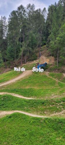 a dirt road in a field with trees in the background at Residence Sole Alto Marillleva 1400 - vista bosco in Marilleva