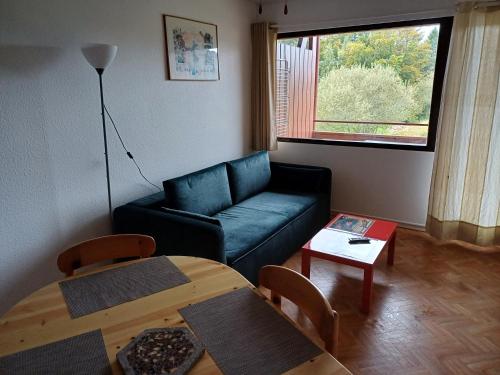 Posezení v ubytování loue appartement mon petit bonheur à Xonrupt Longemer pour 1 à 2 personnes