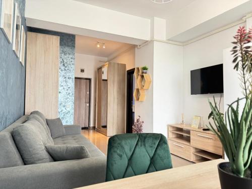 a living room with a couch and a tv at Premier Luxury Lazar Residence by TOD Apartments in Iaşi