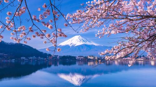 a mountain reflected in a lake withakura trees at Mt Fuji Glamping TOURIST VILLA Kawaguchiko in Fujikawaguchiko