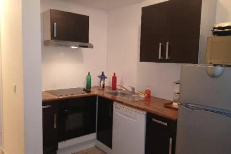 une cuisine avec un évier et un réfrigérateur dans l'établissement Grand T4 Terrasse proche sanctuaire, à Lourdes