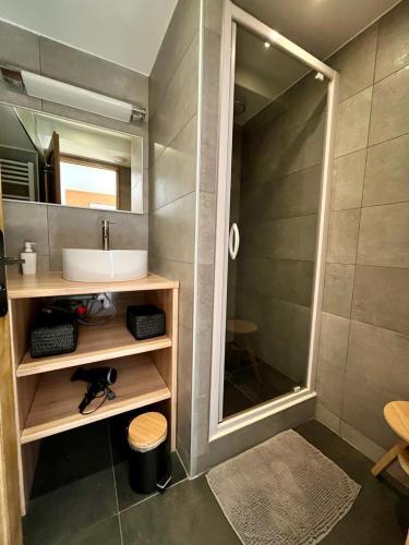 une salle de bain avec un lavabo et un miroir dans l'établissement Bel Alp, cosy au pied des pistes, à Les Deux Alpes
